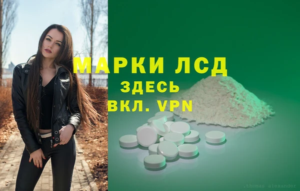 прущий лед Богданович