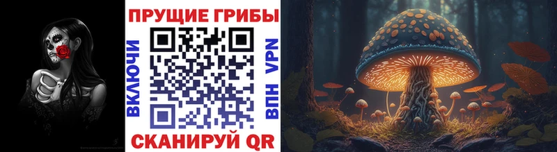 Псилоцибиновые грибы GOLDEN TEACHER Козловка