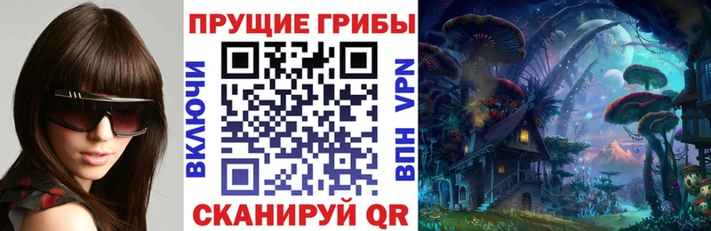 мега вход  Козловка  Галлюциногенные грибы Cubensis 